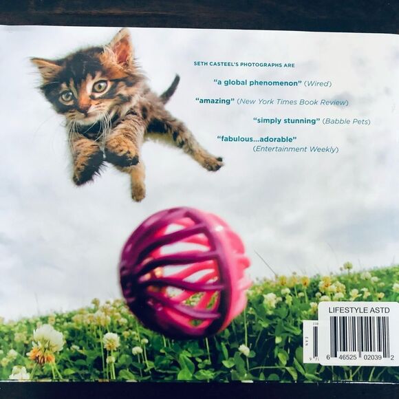 Pounce Cats & Kittens Funny Cute Photo Book - Picture 2 of 6